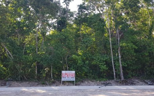 Senderos Norte Parque Delicias Lote 7, Playa Del Carmen, Quintana Roo